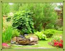 Bild-garten