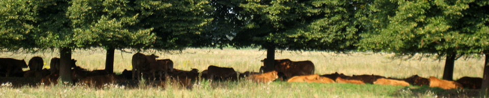 brueggen freizeit